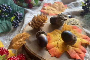 グチリアン代表 園田